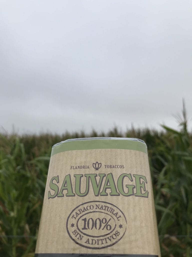 Tabaco Flandria Cultivo